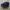 Kangol Luxury Casual Hat Pria purple photo 2
