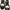 Dr. Martens Brogue Pria white black photo 1