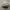 Kangol Luxury Casual Hat Pria khaki photo 4