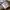 Kangol Luxury Casual Hat Pria khaki photo 6