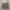 Kangol Luxury Casual Hat Pria khaki photo 5