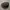 Kangol Luxury Casual Hat Pria gray photo 4