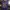 Vintage T-shirt Pria purple photo 1