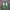Adidas Vintage Casual Sneakers Pria green photo 3