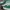 Adidas Vintage Casual Sneakers Pria green photo 2