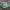 Adidas Vintage Casual Sneakers Pria green photo 1