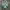 Adidas Vintage Casual Sneakers Pria green photo 4