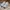 New Balance Casual Sneakers Wanita cream photo 2