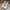 Converse Casual Sneakers Pria white photo 2