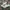 Puma Sportswear Sneakers Pria multicolor photo 1