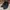 VANS Casual Sneakers Pria black photo 2