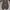 VANS Casual Sneakers Pria brown blue photo 4