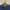 Polo Ralph Lauren Luxury Casual T-shirt Pria navy photo 2