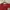 Converse Streetwear Casual T-shirt Pria red photo 3