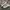 Skechers Sportswear Sneakers Wanita multicolor photo 1