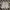 Lacoste Luxury Casual Short Pria cream photo 1
