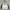 Nike Sportswear Track jacket Pria gray photo 1