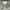 Nike Sportswear Track jacket Pria gray photo 7