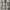 Burberry Luxury Casual Casual shirt Pria tan khaki photo 6