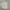Ben Sherman Casual Casual shirt Pria white green photo 1