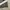 Nike Sportswear Short Pria gray photo 5