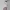 Brandy Melville Crop top Wanita white red photo 2