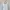 Brandy Melville Crop top Wanita white red photo 3