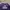 Ben Davis Streetwear Sweater Pria purple photo 3
