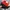 Japanese brand Biker Sportswear Windbreaker Pria multicolor photo 2