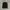Adidas Streetwear Fleece Pria black photo 5