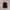 Adidas Streetwear Fleece Pria red photo 6