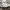 New Balance Streetwear Sportswear Sneakers Pria White