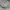 Adidas Streetwear Hoody Pria cream photo 6