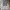 Adidas Casual Track jacket Pria silver gray photo 1