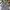 Adidas Casual Track jacket Pria silver gray photo 2