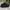 Clarks Casual Casual shoe Pria black photo 2