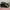 Gucci Casual Loafer Pria black photo 1