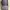 Bag Pria gray photo 6
