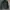 Grooverhyme Casual Sweater Pria green photo 1