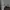 Grooverhyme Casual Sweatshirt Pria green photo 4
