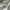 C.P. Company Streetwear Casual Windbreaker Pria white photo 6