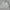 C.P. Company Streetwear Casual Windbreaker Pria white photo 1