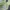 Nike Vintage Sportswear Track jacket Pria green gray photo 4