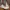 Miu Miu Casual Sneakers Wanita white photo 2