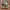 Adidas Casual Sneakers Pria multicolor photo 5