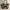 Vivienne Westwood Bags & purse Wanita tan brown photo 2