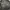 Casual Hoody Pria gray photo 4