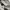 Lululemon Sportswear Shoulder bag Wanita gray photo 3