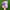 Crocs Casual Sandals & slide Wanita purple photo 5