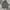 Uniqlo Minimalist Hoody Pria gray photo 1